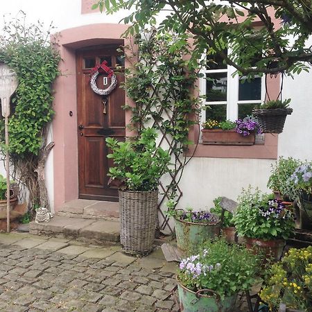 All Seasons Bed & Breakfast Kerpen  Exterior photo